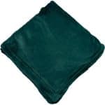 Micro-mink Touch Blanket - 5