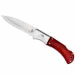 Rustic Wood Handle Knife - 2