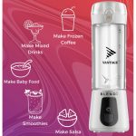 BLENDi Pro+ Portable Blender 17oz - 2