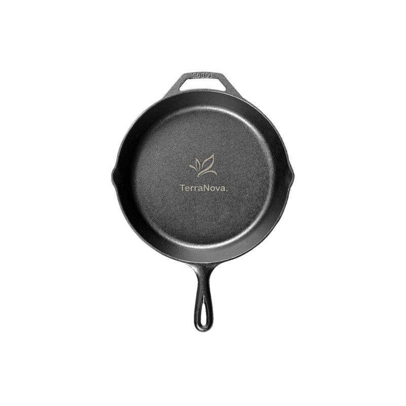 Lodge 10.25" Cast Iron Skillet