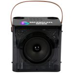 15w Karaoke Wireless Speaker with 2 mics
