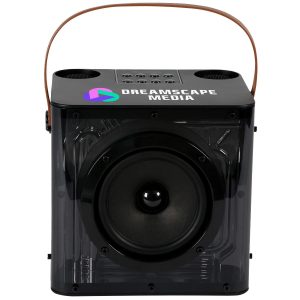 15w Karaoke Wireless Speaker with 2 mics