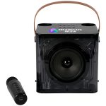 15w Karaoke Wireless Speaker with 2 mics - 8