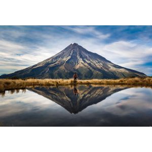 Urban Peak Water Resistant Computer Backpack